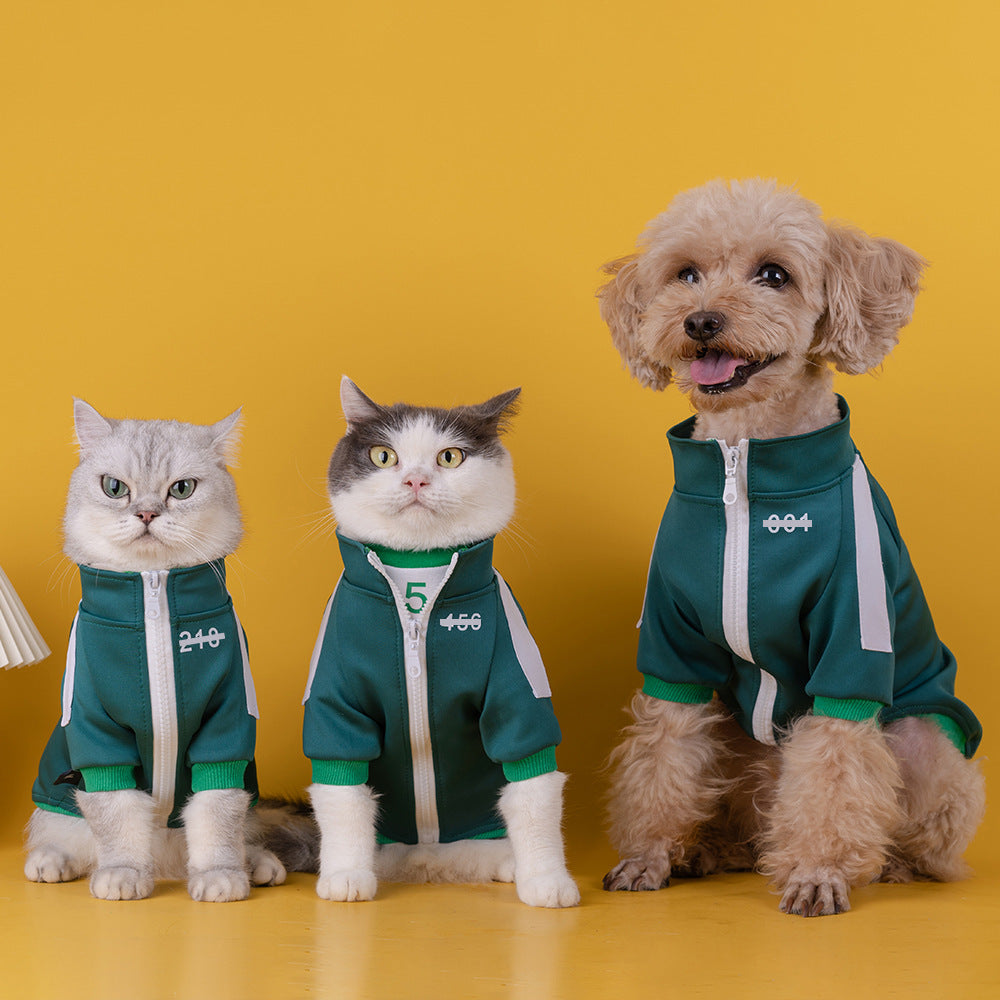 The Ultimate Teddy Sweater for Small and Medium-sized Dogs